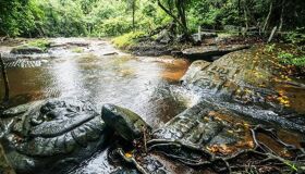 Start your journey with Phnom Kulen’s vibrant glow